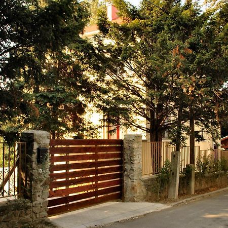 Villa Cecile Sopron Zewnętrze zdjęcie