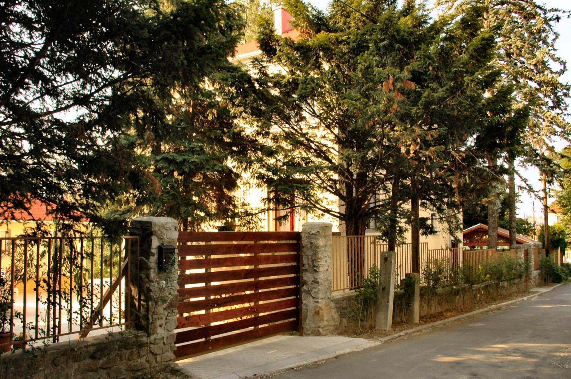 Villa Cecile Sopron Zewnętrze zdjęcie
